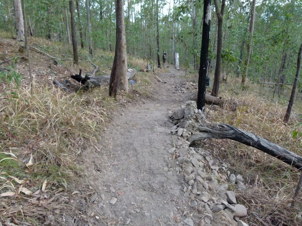 Developing line